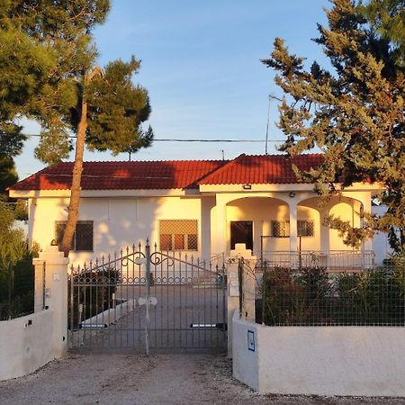 B&B Villa Vittorio Galatone Dış mekan fotoğraf