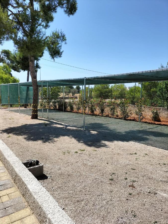 B&B Villa Vittorio Galatone Dış mekan fotoğraf