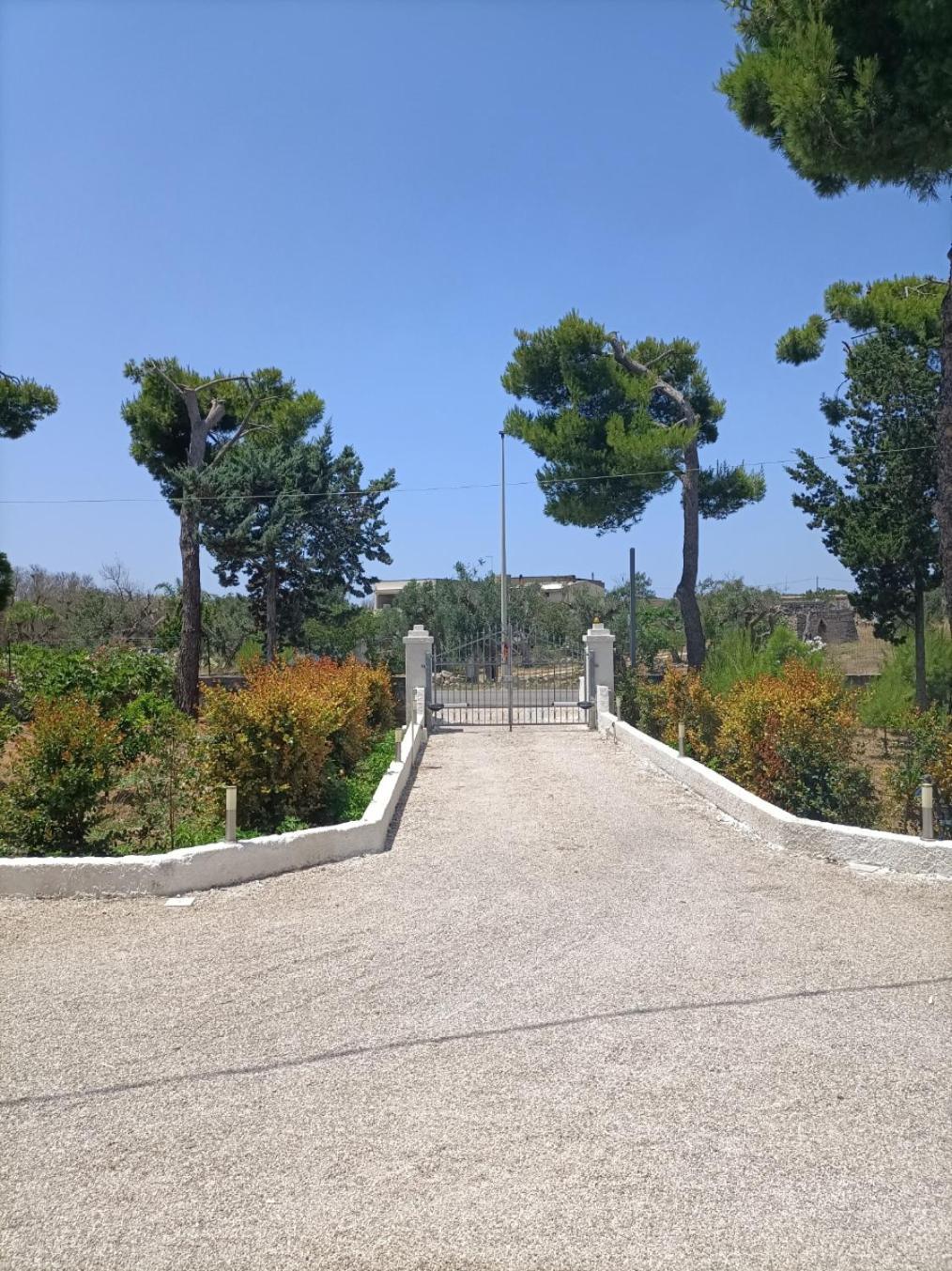 B&B Villa Vittorio Galatone Dış mekan fotoğraf