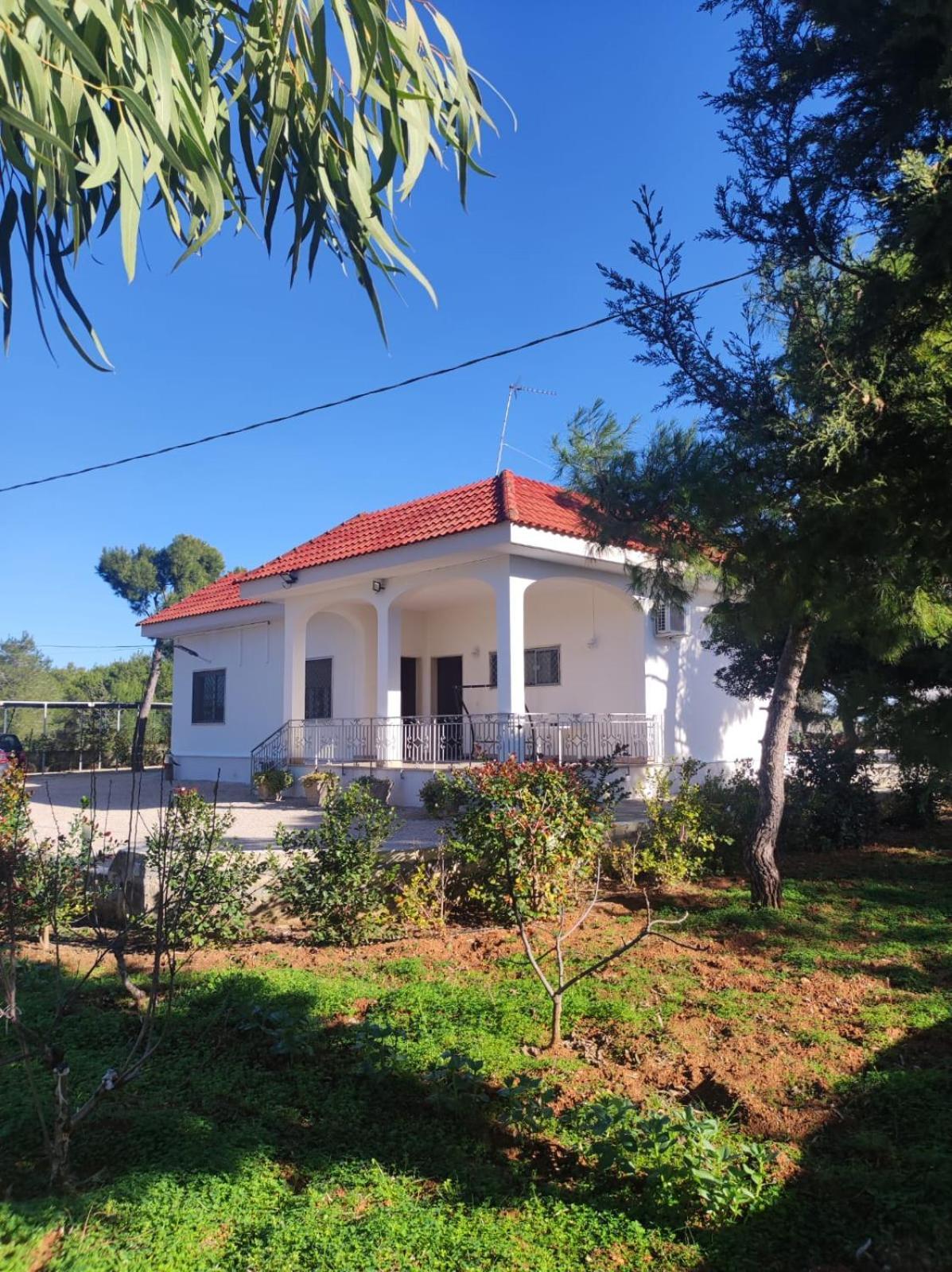 B&B Villa Vittorio Galatone Dış mekan fotoğraf
