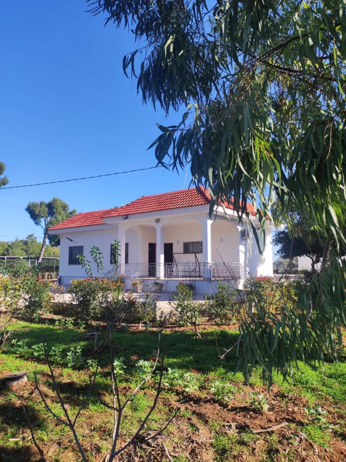 B&B Villa Vittorio Galatone Dış mekan fotoğraf